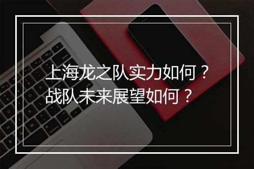 上海龙之队实力如何？战队未来展望如何？