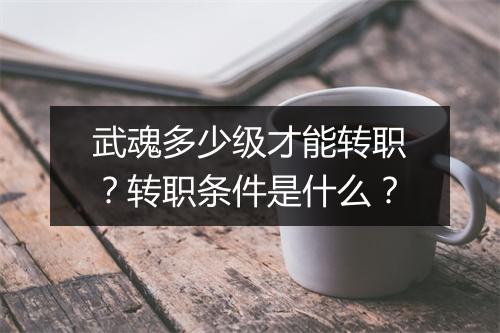 武魂多少级才能转职？转职条件是什么？