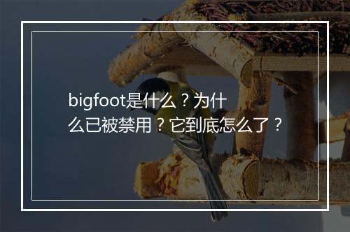 bigfoot是什么？为什么已被禁用？它到底怎么了？