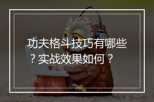 功夫格斗技巧有哪些？实战效果如何？