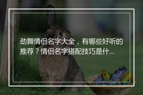 劲舞情侣名字大全，有哪些好听的推荐？情侣名字搭配技巧是什么？