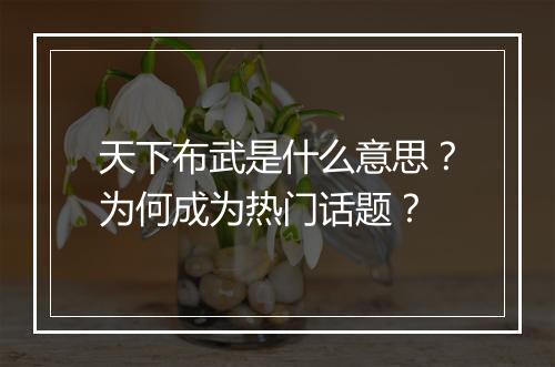 天下布武是什么意思？为何成为热门话题？