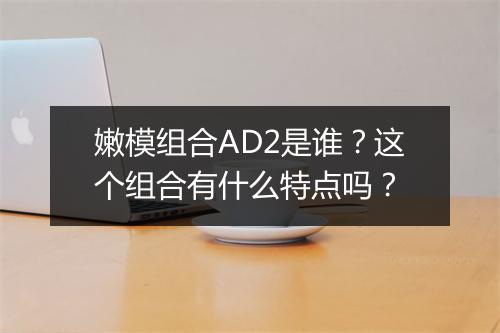 嫩模组合AD2是谁？这个组合有什么特点吗？