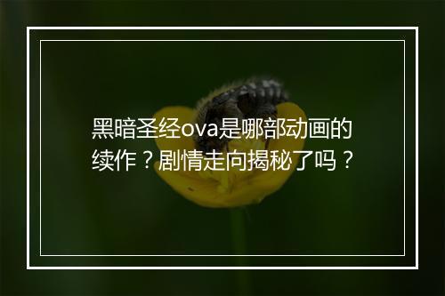 黑暗圣经ova是哪部动画的续作？剧情走向揭秘了吗？