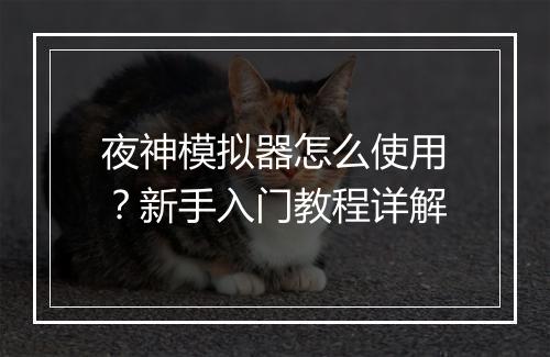 夜神模拟器怎么使用？新手入门教程详解