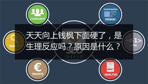 天天向上钱枫下面硬了，是生理反应吗？原因是什么？