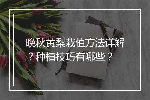 晚秋黄梨栽植方法详解？种植技巧有哪些？