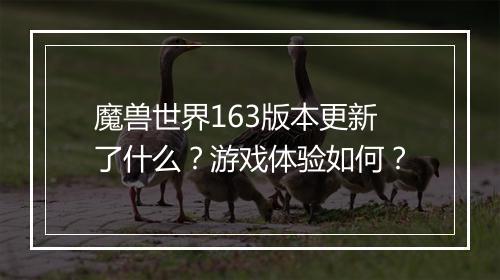 魔兽世界163版本更新了什么？游戏体验如何？
