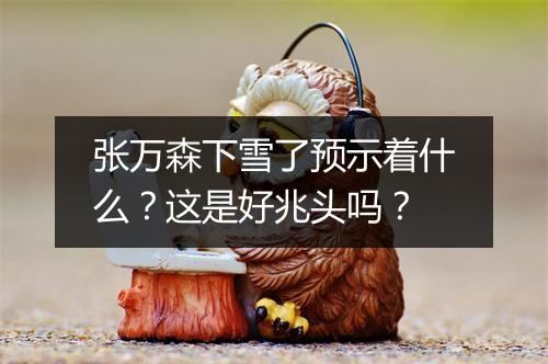 张万森下雪了预示着什么？这是好兆头吗？