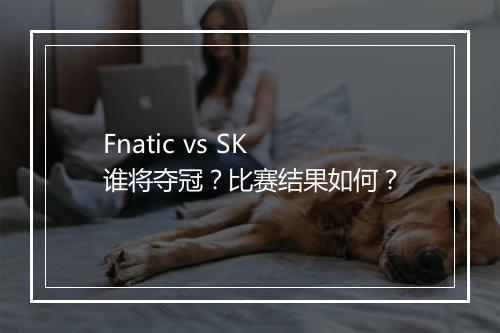Fnatic vs SK 谁将夺冠？比赛结果如何？