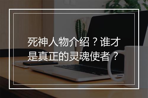 死神人物介绍？谁才是真正的灵魂使者？