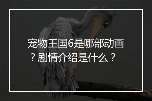 宠物王国6是哪部动画？剧情介绍是什么？