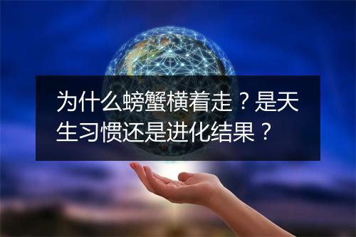 为什么螃蟹横着走？是天生习惯还是进化结果？