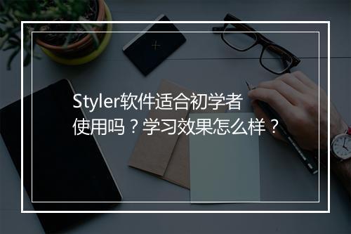 Styler软件适合初学者使用吗？学习效果怎么样？