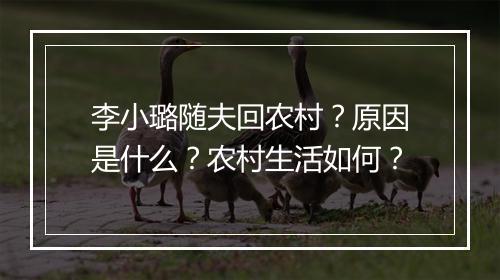 李小璐随夫回农村？原因是什么？农村生活如何？