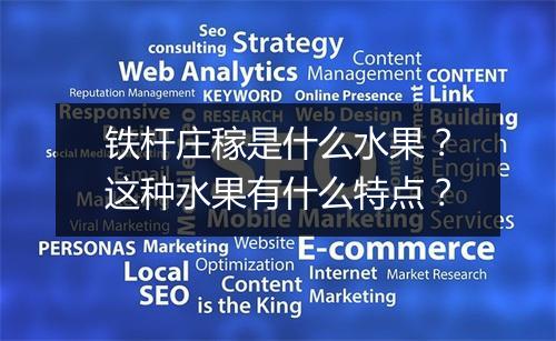 铁杆庄稼是什么水果？这种水果有什么特点？