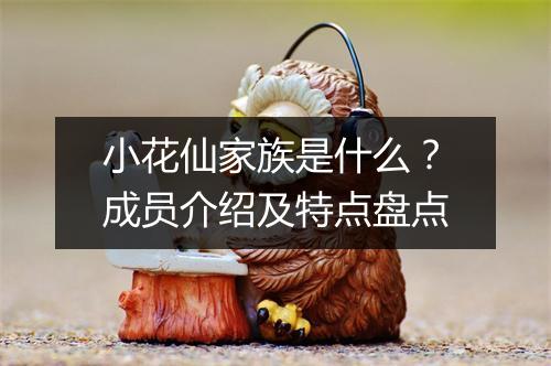 小花仙家族是什么？成员介绍及特点盘点