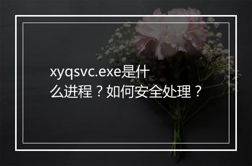 xyqsvc.exe是什么进程？如何安全处理？