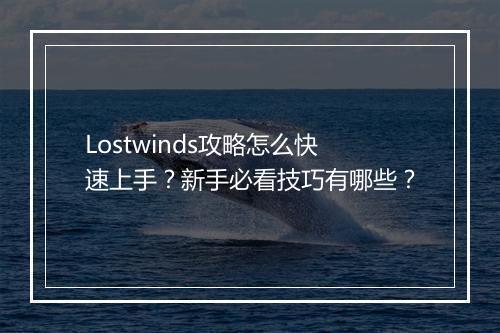 Lostwinds攻略怎么快速上手？新手必看技巧有哪些？
