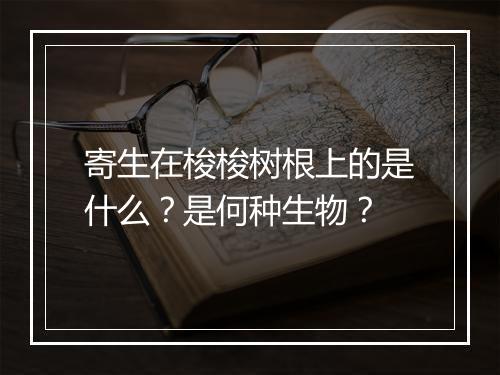 寄生在梭梭树根上的是什么？是何种生物？