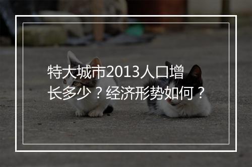 特大城市2013人口增长多少？经济形势如何？