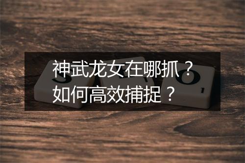 神武龙女在哪抓？如何高效捕捉？