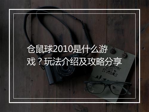 仓鼠球2010是什么游戏？玩法介绍及攻略分享