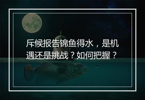 斥候报告锦鱼得水，是机遇还是挑战？如何把握？