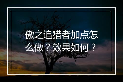 傲之追猎者加点怎么做？效果如何？