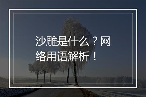 沙雕是什么？网络用语解析！