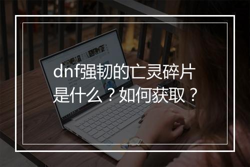dnf强韧的亡灵碎片是什么？如何获取？