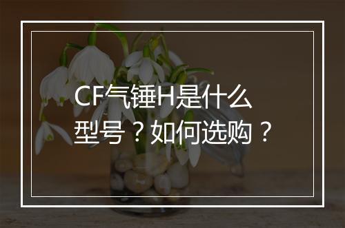 CF气锤H是什么型号？如何选购？