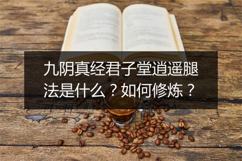 九阴真经君子堂逍遥腿法是什么？如何修炼？