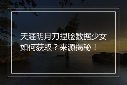 天涯明月刀捏脸数据少女如何获取？来源揭秘！