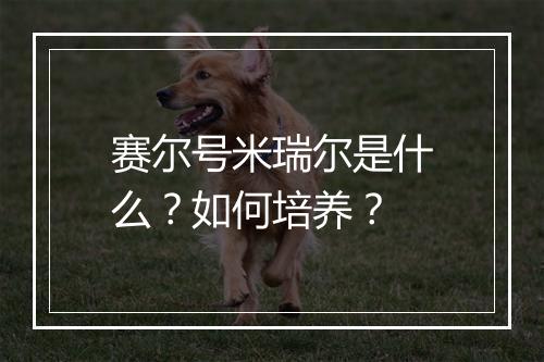 赛尔号米瑞尔是什么？如何培养？