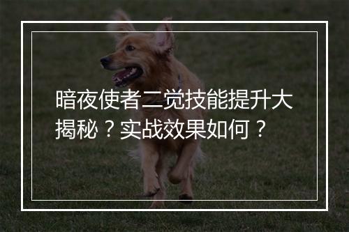 暗夜使者二觉技能提升大揭秘？实战效果如何？