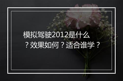 模拟驾驶2012是什么？效果如何？适合谁学？