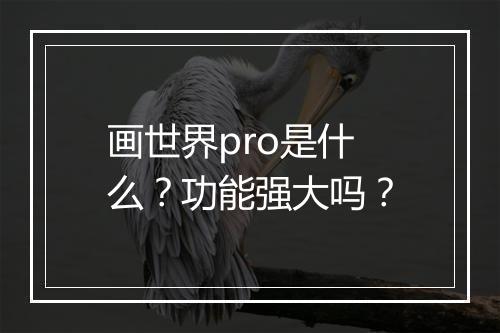 画世界pro是什么？功能强大吗？