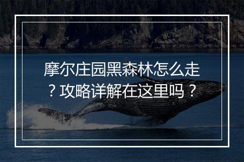 摩尔庄园黑森林怎么走？攻略详解在这里吗？