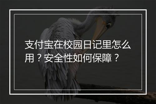 支付宝在校园日记里怎么用？安全性如何保障？