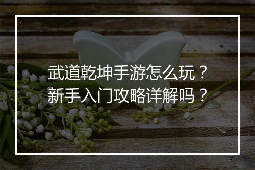 武道乾坤手游怎么玩？新手入门攻略详解吗？