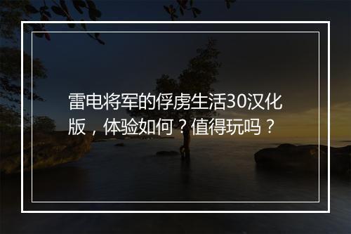 雷电将军的俘虏生活30汉化版，体验如何？值得玩吗？