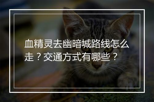 血精灵去幽暗城路线怎么走？交通方式有哪些？