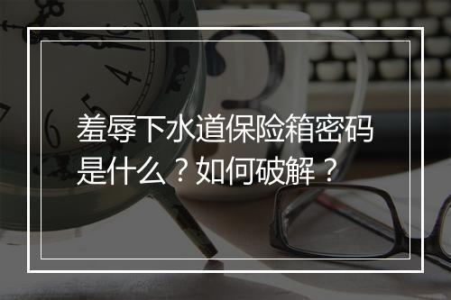 羞辱下水道保险箱密码是什么？如何破解？