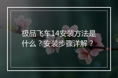 极品飞车14安装方法是什么？安装步骤详解？