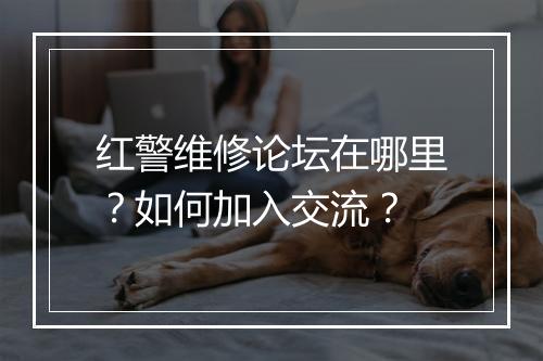 红警维修论坛在哪里？如何加入交流？