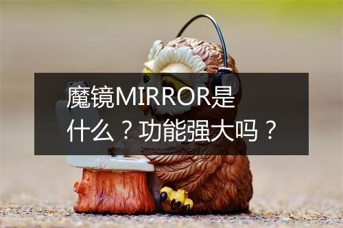 魔镜MIRROR是什么？功能强大吗？