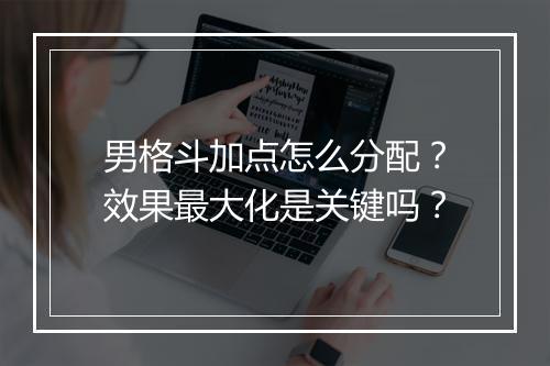 男格斗加点怎么分配？效果最大化是关键吗？