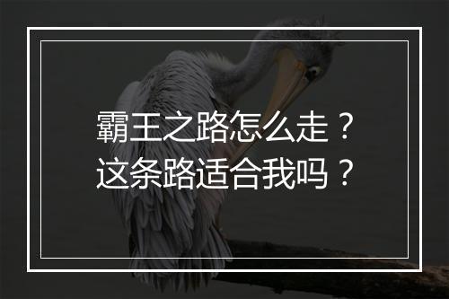 霸王之路怎么走？这条路适合我吗？