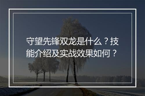 守望先锋双龙是什么？技能介绍及实战效果如何？